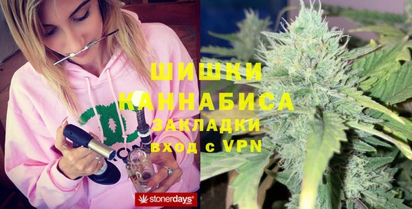 индика Липки