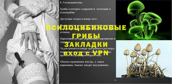 индика Липки