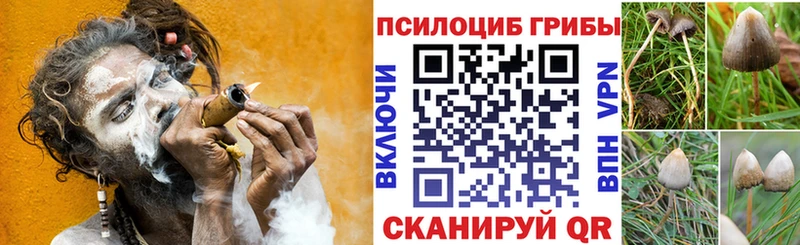 blacksprut ТОР  Тихвин  Галлюциногенные грибы прущие грибы  закладка 