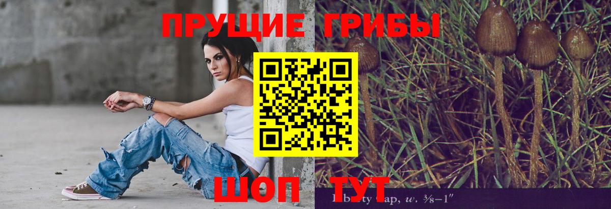 Галлюциногенные грибы Psilocybine cubensis Тихвин