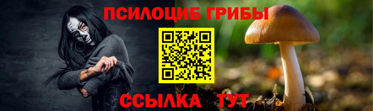 наркошоп  Вход с VPN  Тихвин  Псилоцибиновые грибы GOLDEN TEACHER 