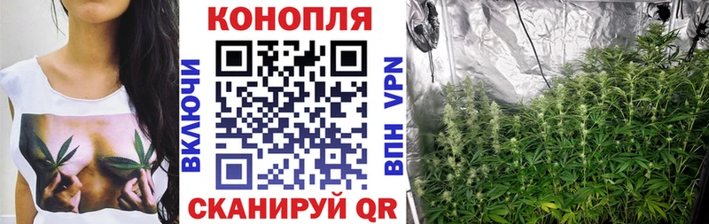 блэк спрут ССЫЛКА  хочу   Тихвин  Конопля OG Kush 